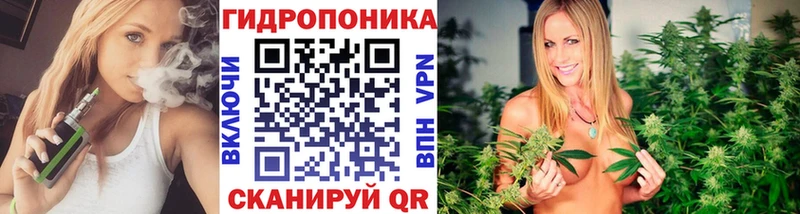 продажа наркотиков  Истра  Конопля индика 
